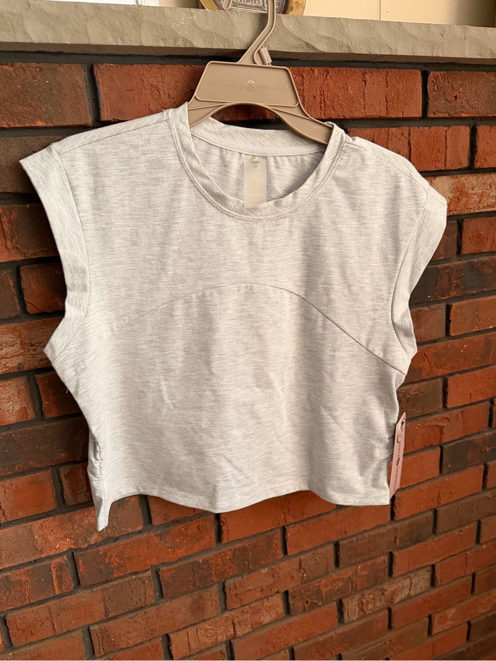 HARMONY BALANCE Cropped soft Cap-Sleeve Crewneck Top in Light Gray